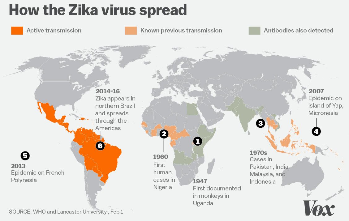 The Spread Of Zika Virus A Roundup Of Visualizations Storybench