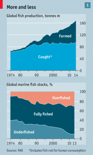 Six visualizations that explore the extent of overfishing around